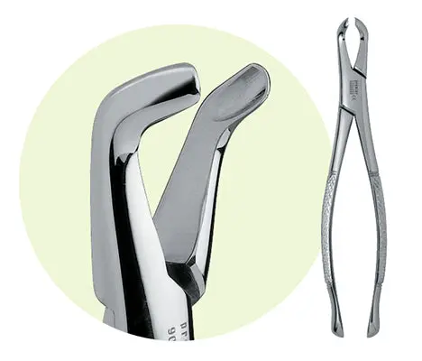 Premier #222 Adult Mandibular Forceps, For 3Rd Molars 1