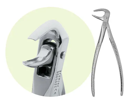 Premier #74 Mandibular Forceps, For Roots, Incisors, Canines And Premolars 1