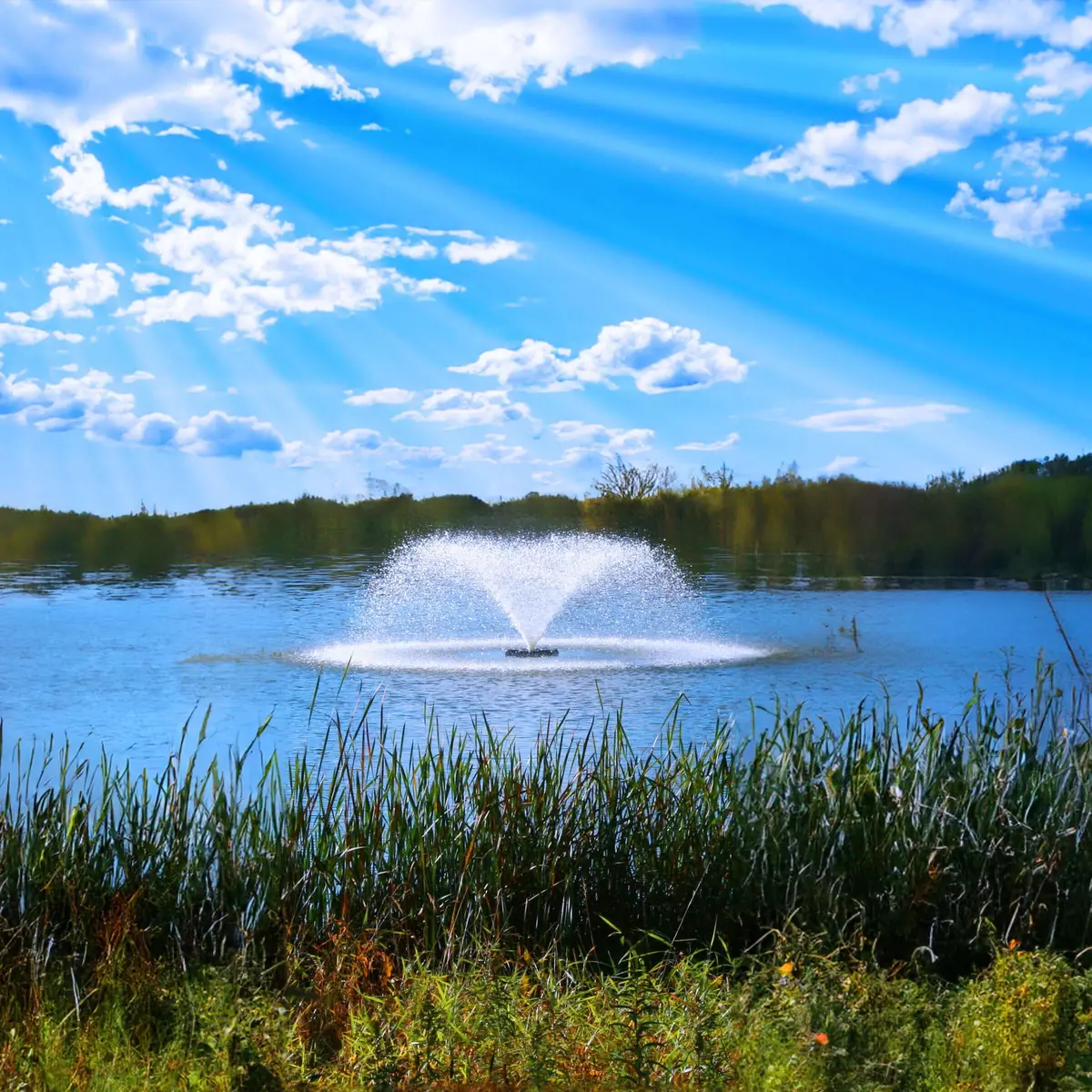 Kasco 3400Vfx 3/4 Hp Display Fountain Pond Aerator - 115V 1