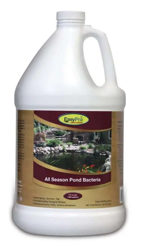 All Season- Liquid Pond Bacteria 1